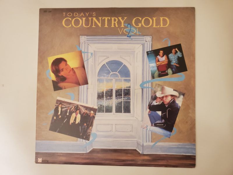 Various Artists Today's Country Gold Vol. 2 vinyl record